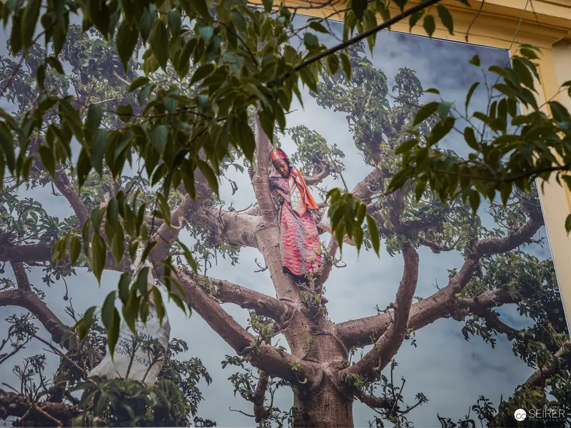 Enigmatic Figure Suspended in Tree at La Gacilly Baden Festival Orient Exhibition