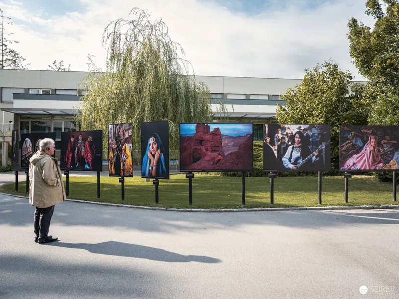 Ansichten Festival La Gacilly Baden: Outdoor Photographic Exhibition Amid Weeping Willow