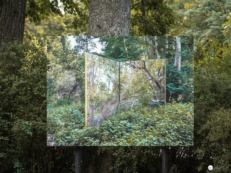 Mirrored Forest Landscape: Photographic Installation at Ansichten Festival