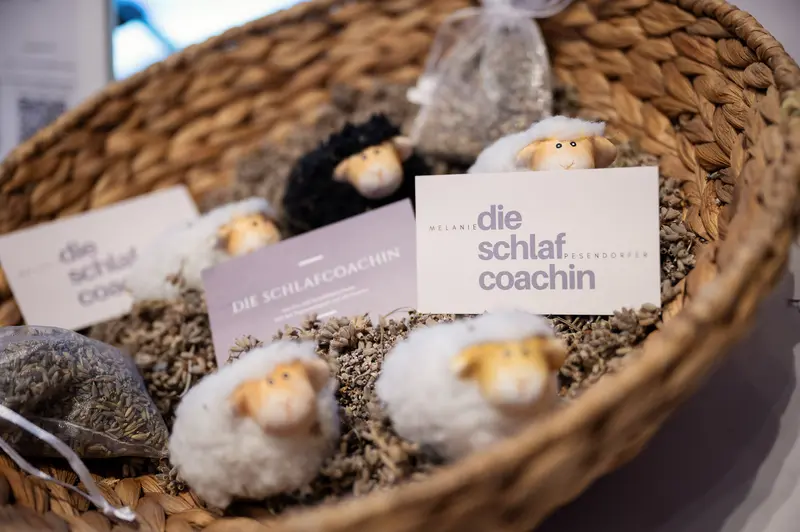 Die Schlaf Coachin Branding Materials in Woven Basket with Decorative Sheep Figurines