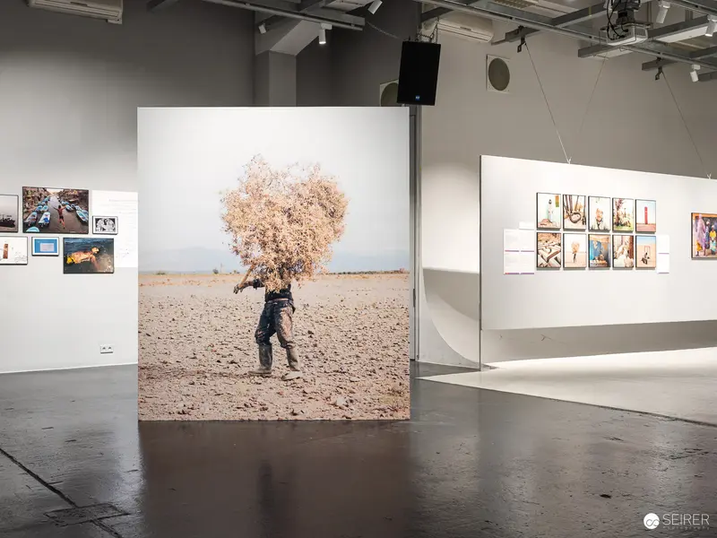 Surreal Landscape: Figure Carrying Blossoming Tree Across Barren Terrain