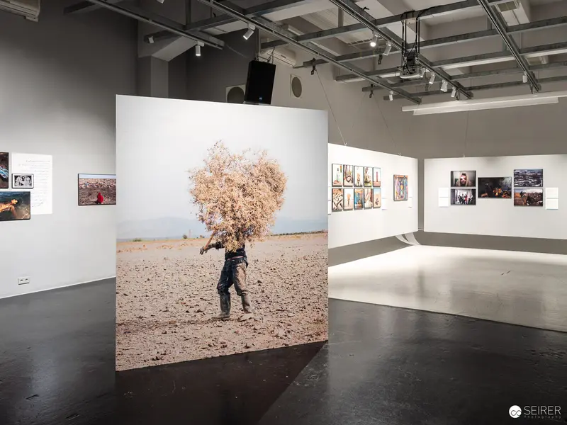 Solitary Figure Carrying Tree in Barren Landscape at Art Exhibition
