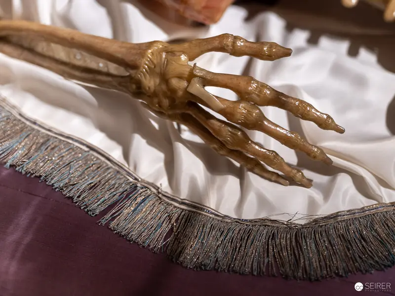 Skeletal Hand Resting on Fringed Textile with Theatrical Staging