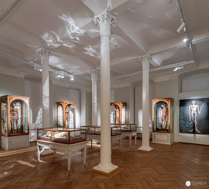 Museum Gallery Interior with Illuminated Artifact Displays and Corinthian Columns