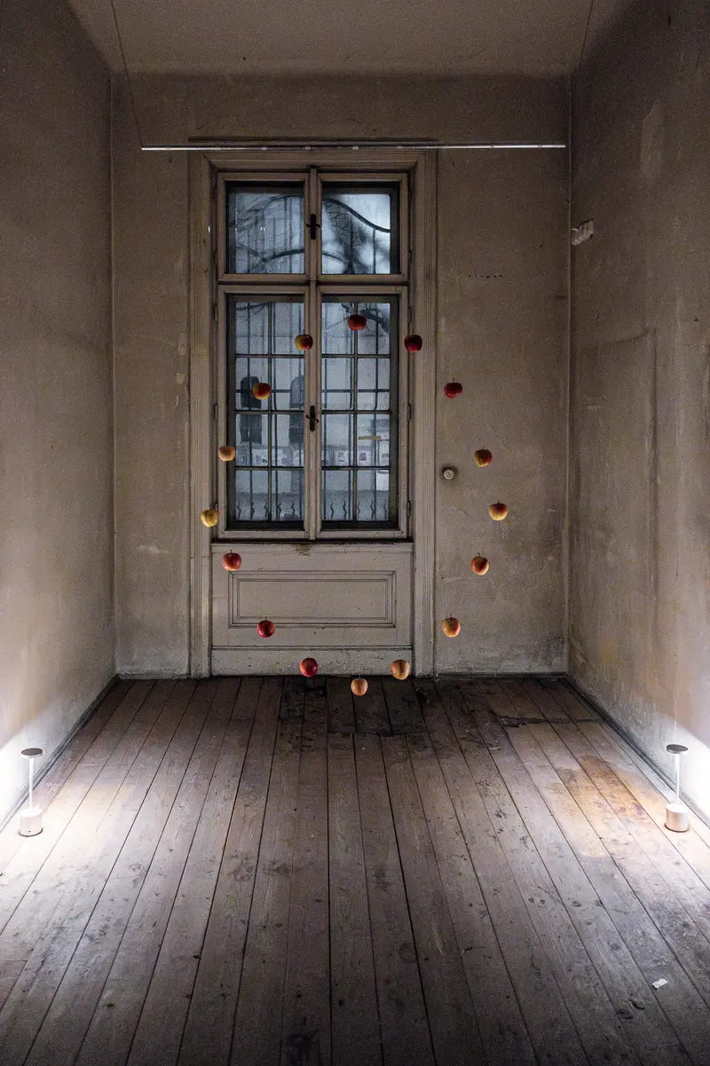 Enigmatic Interior with Suspended Red Spheres and Weathered Wooden Door