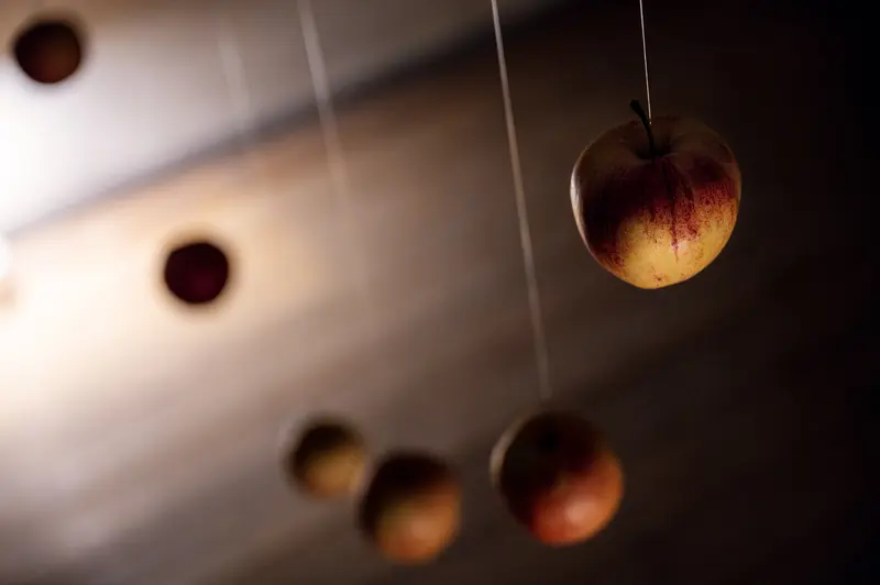 Suspended Peaches: Poetic Still Life with Hanging Fruits in Muted Light