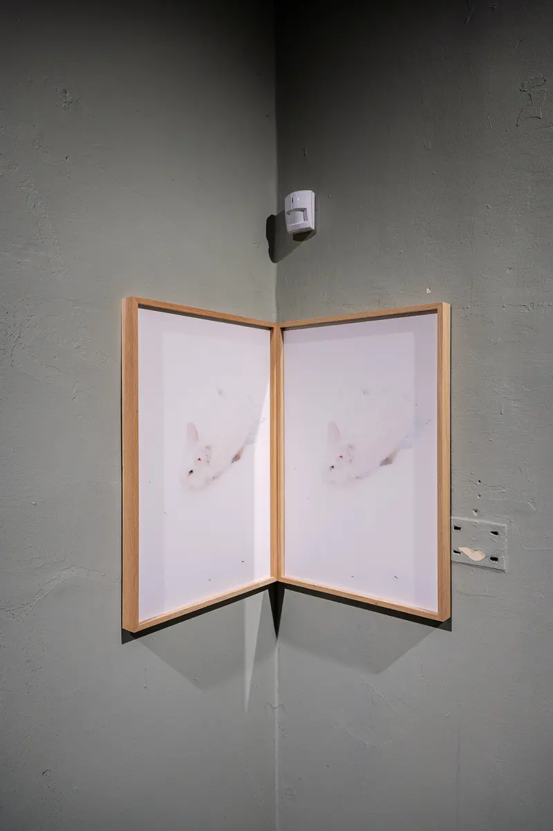 Minimalist Diptych Wall Installation with Mounted Camera in Corner Space