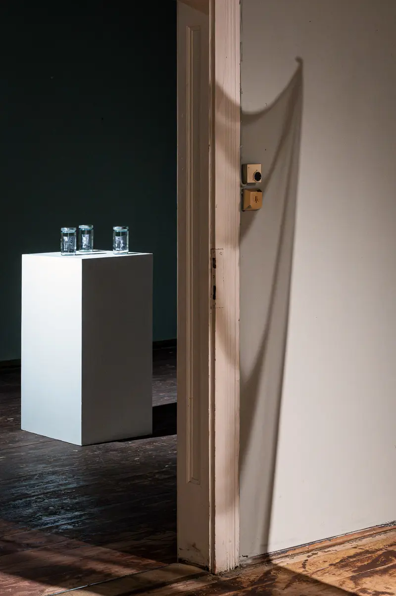 Minimalist Installation with Glass Vessels and Elongated Shadow on White Pedestal