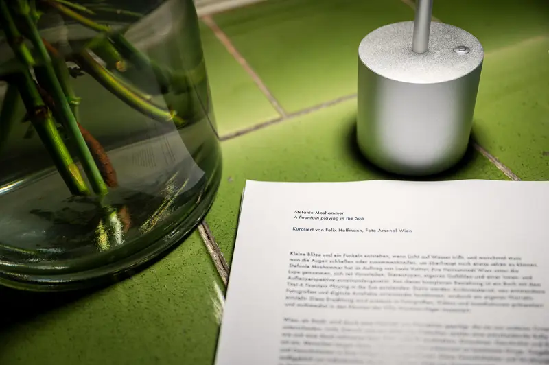 Stefanie Moshammer's "A Fountain Playing In The Sun" Publication Moment
