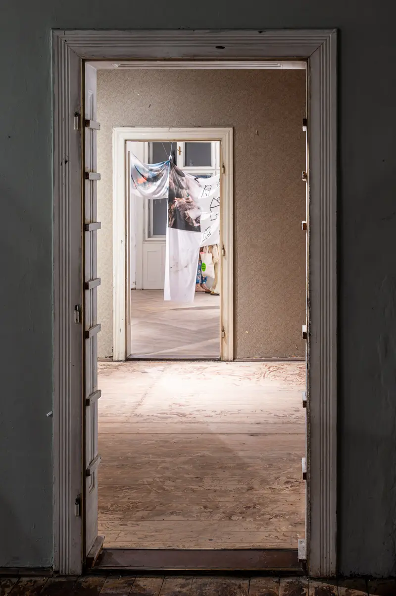 Doorway Revealing Layered Interior Spaces with Hanging Fabric and Debris