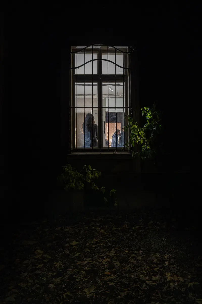 Nocturnal Silhouette Through Barred Window with Verdant Foreground