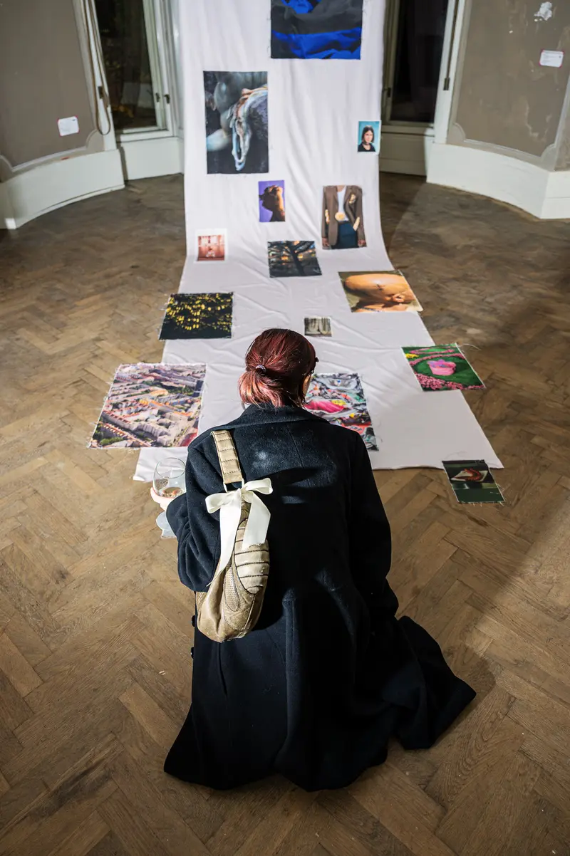 Stefanie Moshammer's Art Installation: Exploring Visual Narratives Through Scattered Imagery