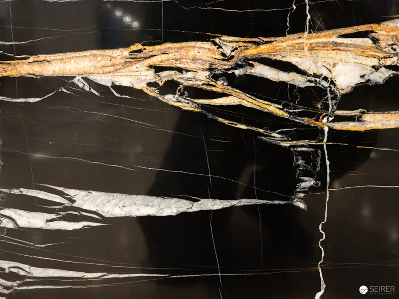 Abstract Marble Texture with Black and Golden Veins