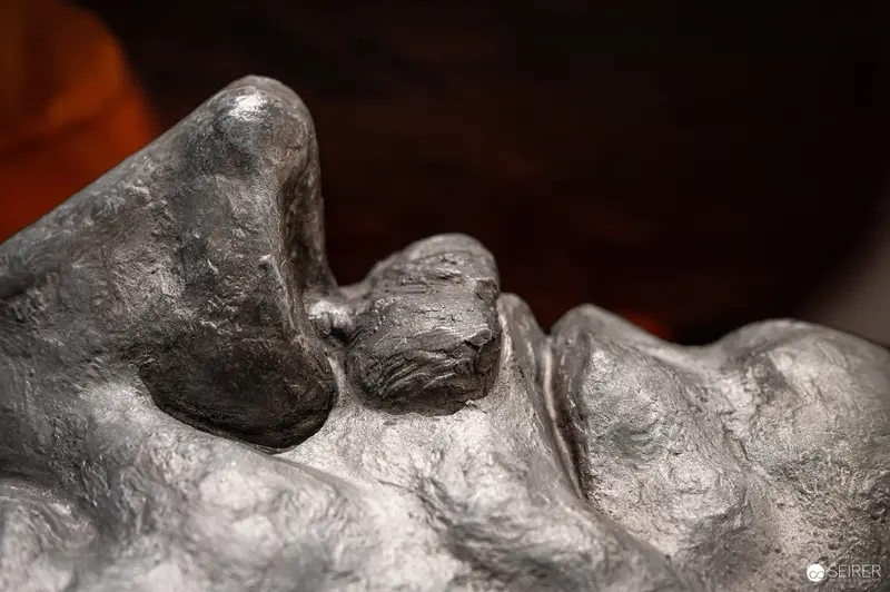 Silver Sculpture Depicting a Profile in Textured Metal Casting