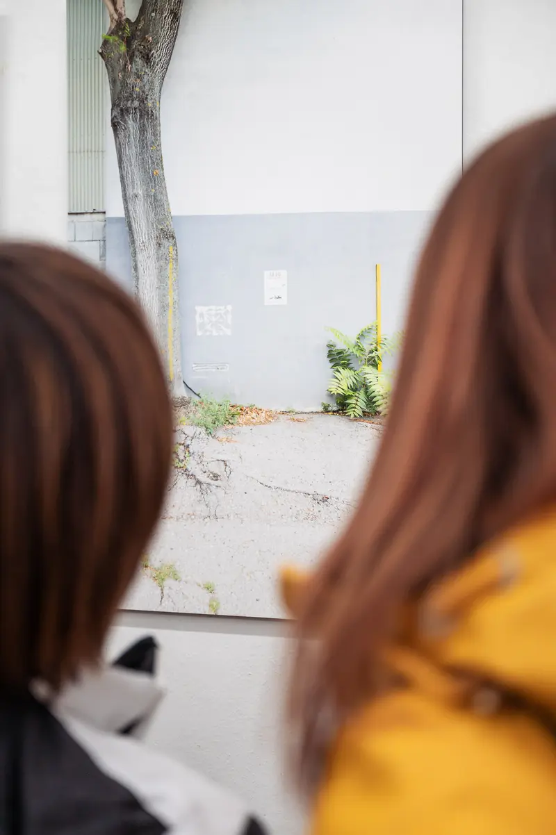 Two Figures Observing Minimalist Urban Landscape Through Window Frame
