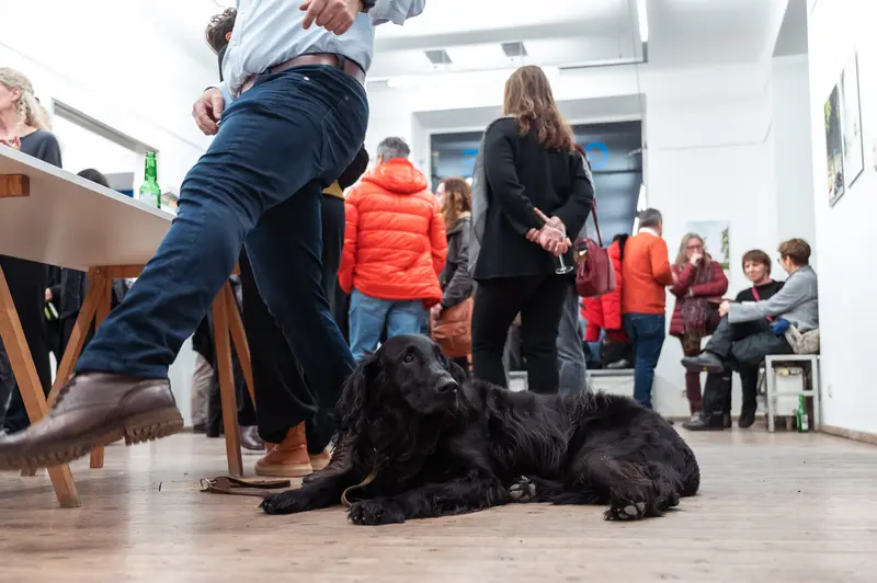 Black Dog Resting During Prague Photo School Diploma Exhibition Vernissage