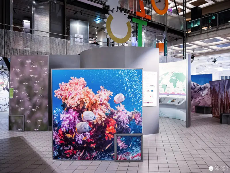 Vibrant Coral Reef Exhibit at Technical Museum Vienna Energy Transition Display