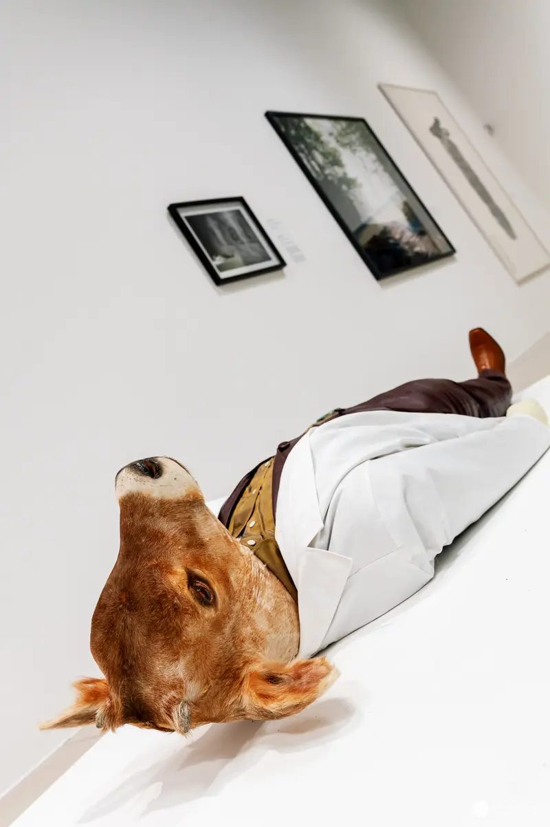 Surreal White Gallery Installation with Reclining Rabbit Sculpture