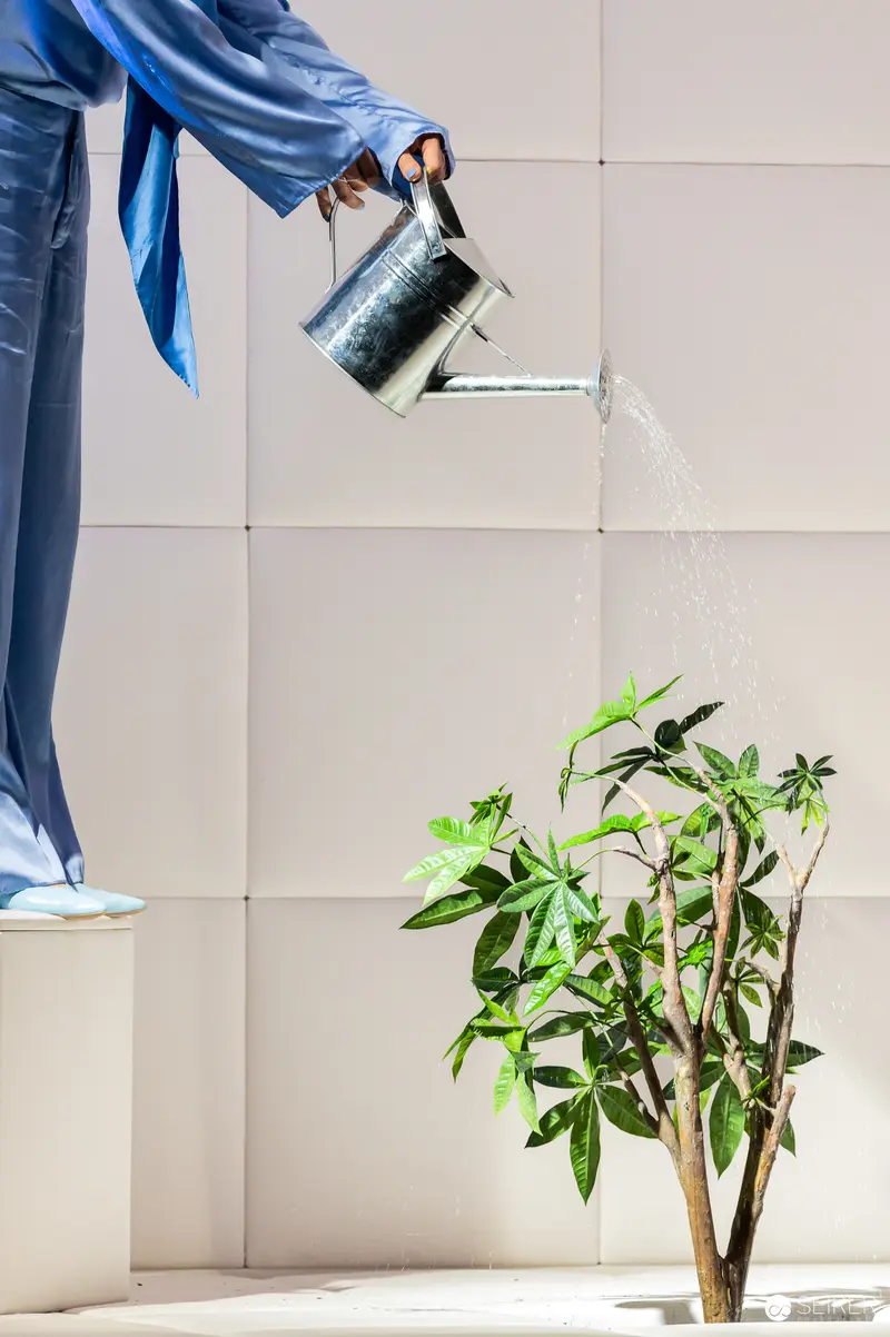 Blue-Sleeved Figure Watering Potted Plant Against Minimalist Wall Background