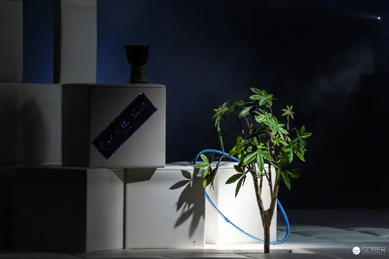 White Cube with Potted Plant and Blue Cable in Dramatic Lighting