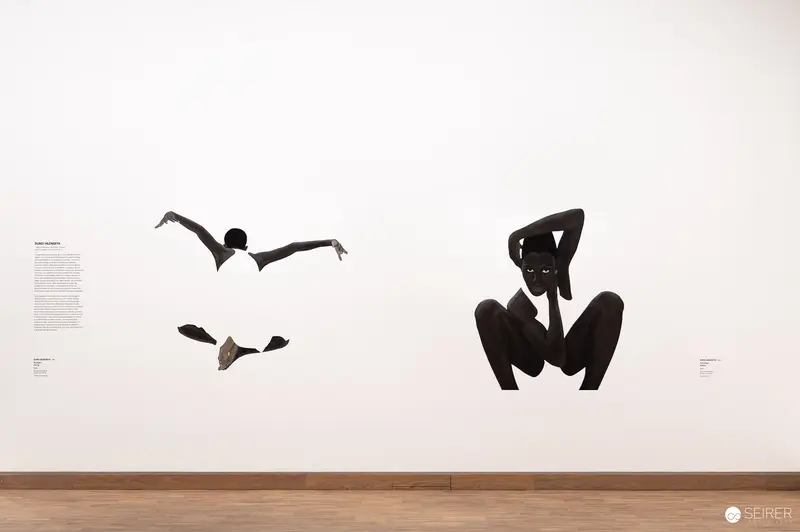 Black Silhouetted Figures in Dynamic Poses at Albertina Modern's Diversity Exhibition