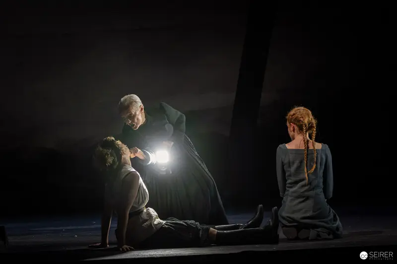 "Leben und Sterben in Wien" Theater in der Josefstadt, 2024