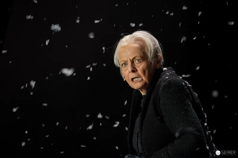 "Leben und Sterben in Wien" Theater in der Josefstadt, 2024