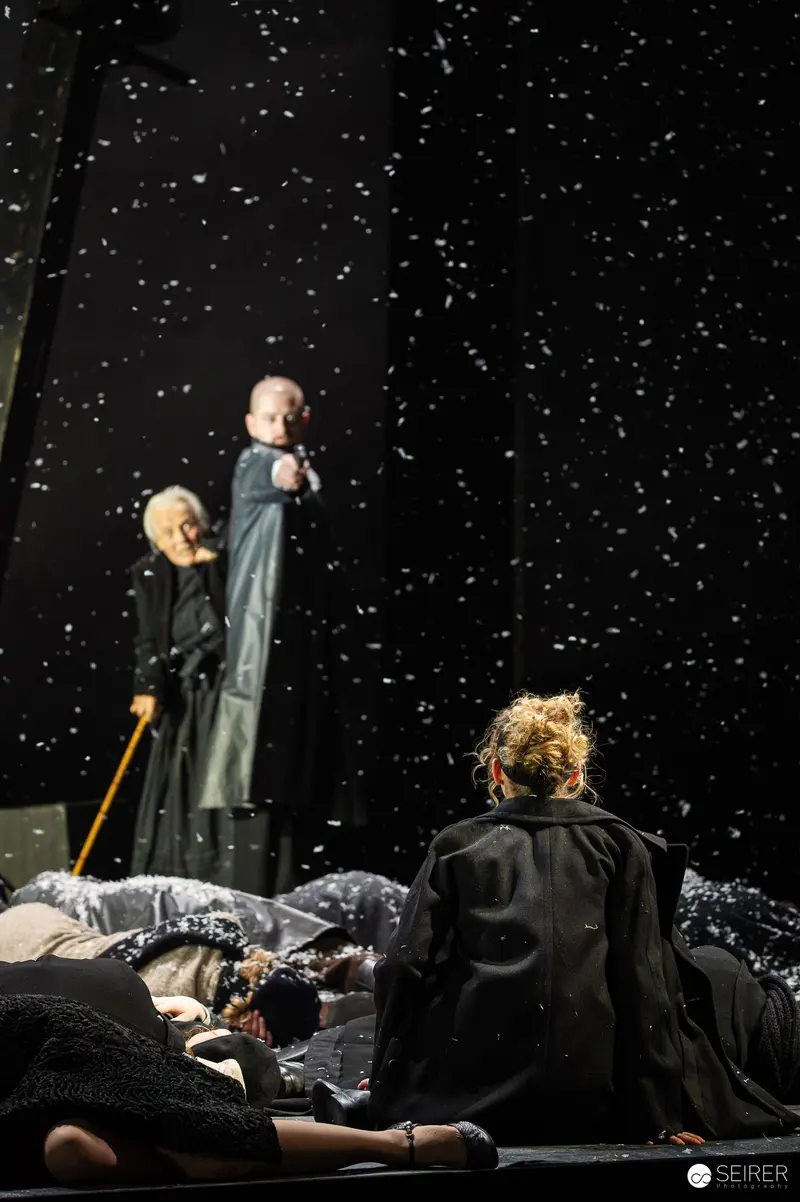 "Leben und Sterben in Wien" Theater in der Josefstadt, 2024