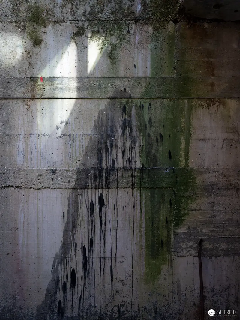 Decaying Concrete Wall with Moss, Rust, and Light Stains at Nocturnal Exhibition