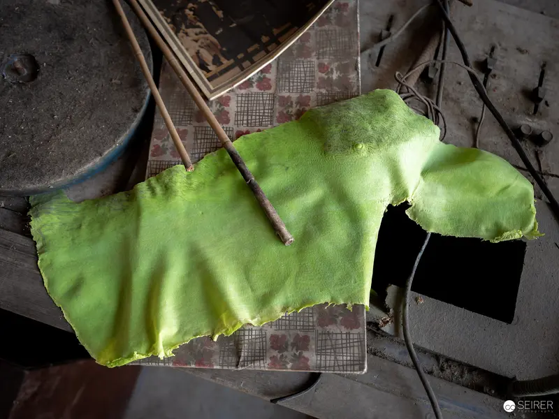 Green Leather Fragment on Textured Surface at Felix Reutzel Exhibition