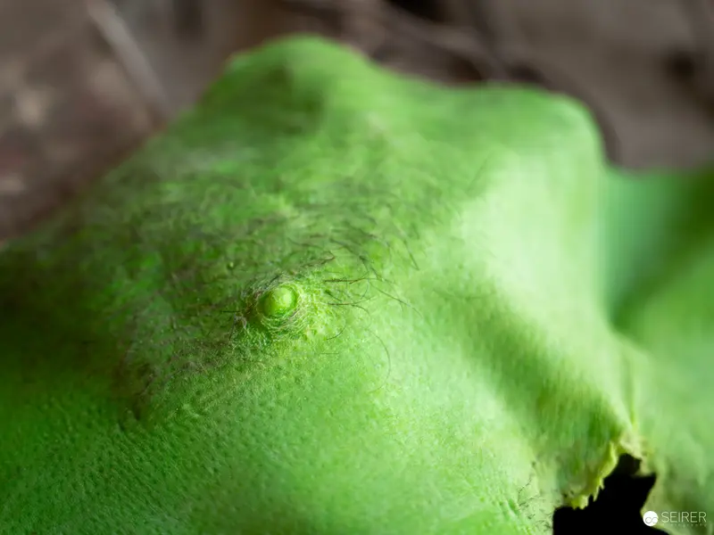 Green Citrus Fruit Close-Up with Textured Surface and Stem Nub