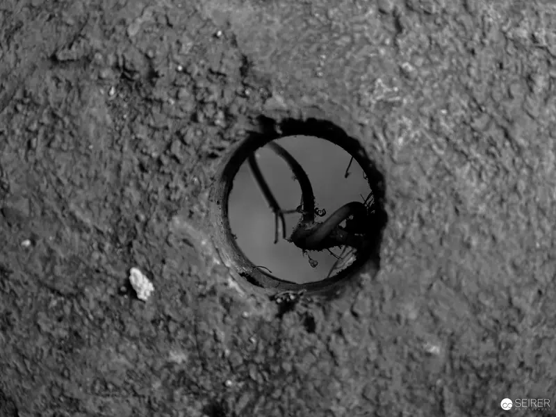 Nocturnal Cave Exhibition: Insect Silhouette Through Circular Aperture