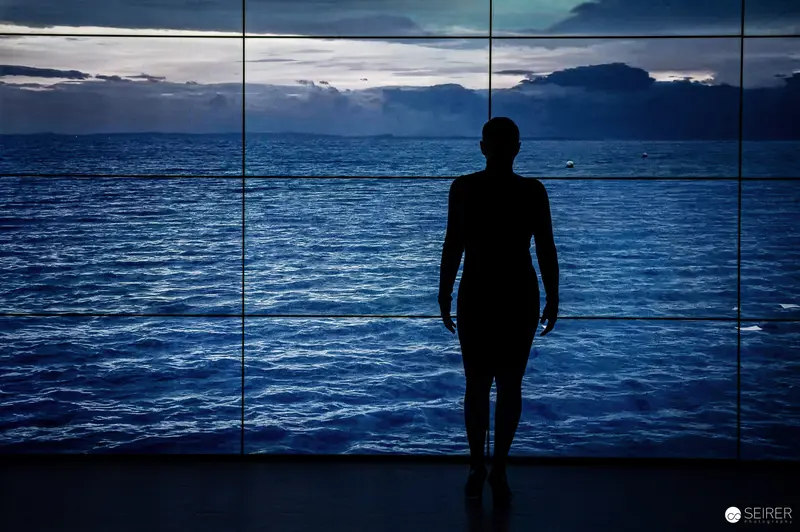 Silhouette Contemplating Seascape Through Glass Panels at Theater Production