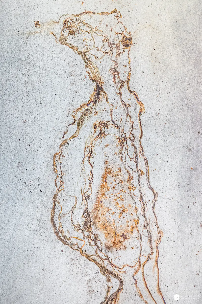 Abstract Organic Line Drawing Tracing Fluid Human Form Silhouette