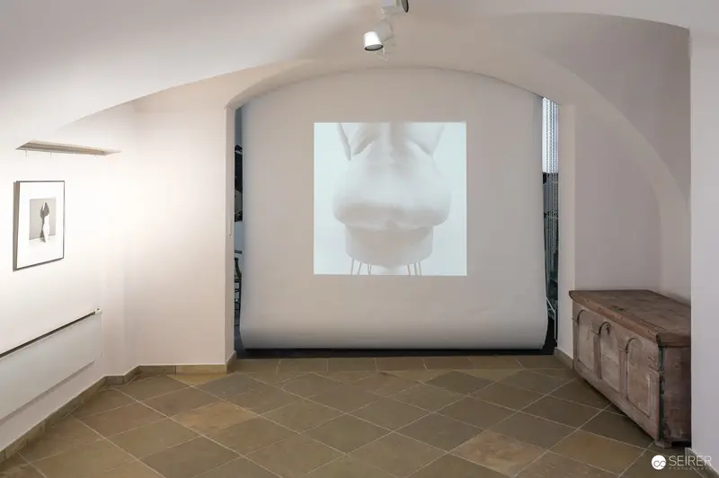 "Hide & Seek" Exhibition at Fine-Art Gallery Traismauer: Projected Monochromatic Artwork