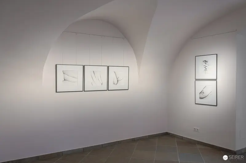 Hide & Seek Vernissage, Fine Art Galerie Traismauer, April 2024