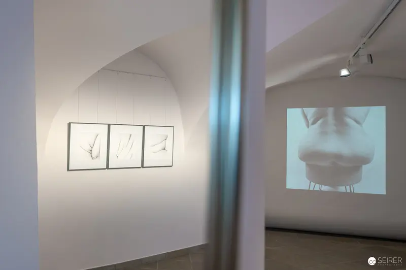 Hide & Seek Exhibition at Fine-Art Galerie Traismauer: Projected Facial Close-Up and Three-Panel Work