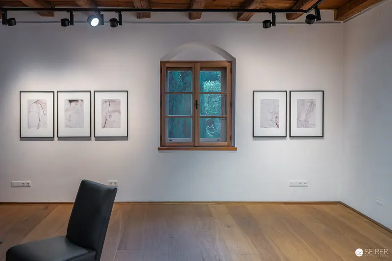 Hide & Seek Exhibition Gallery View, Traismauer Austria