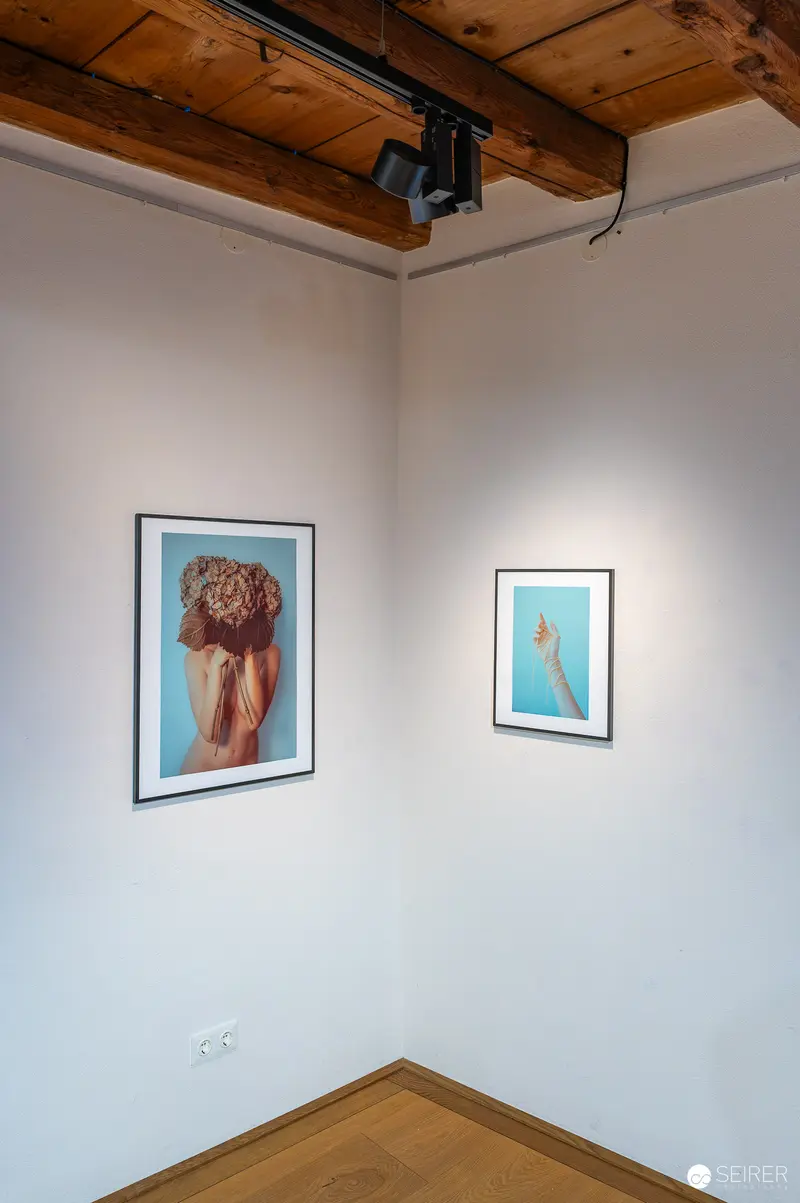 "Hide & Seek" Exhibition at Fine-Art Gallery Traismauer: Contemporary Artworks on Display