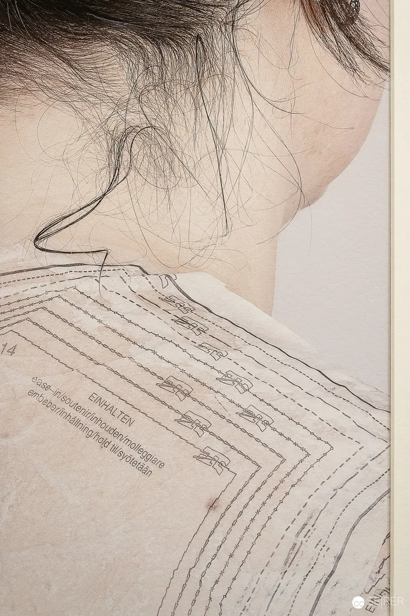 Anatomical Drawing of Shoulder and Neck at Hide & Seek Exhibition, Traismauer