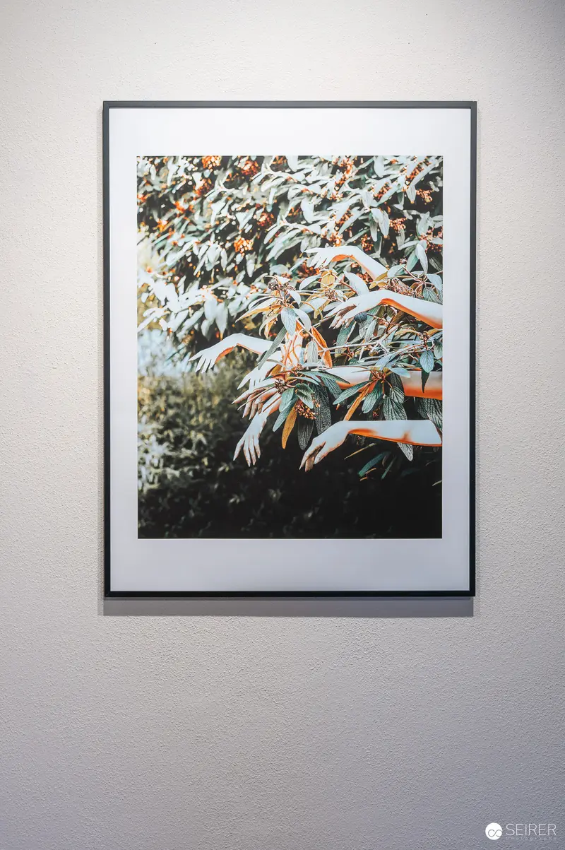 Framed Botanical Photograph, Hide & Seek Exhibition at Fine-Art Gallery Traismauer