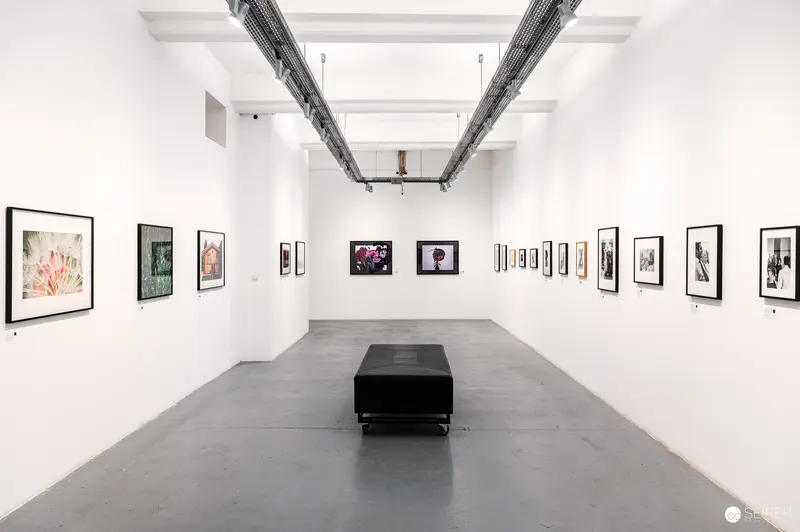 Minimalist Gallery Interior with Black Bench at Elliott Erwitt Exhibition