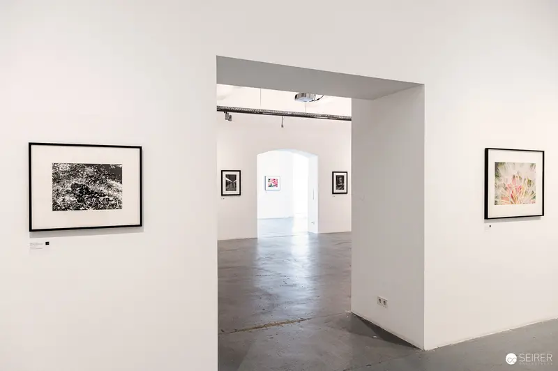 Gallery Interior with Black and White Photographs at Ostlicht Exhibition