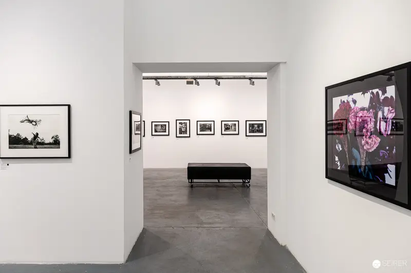 Gallery Interior View: Elliott Erwitt Exhibition at Ostlicht with Black and White and Color Works