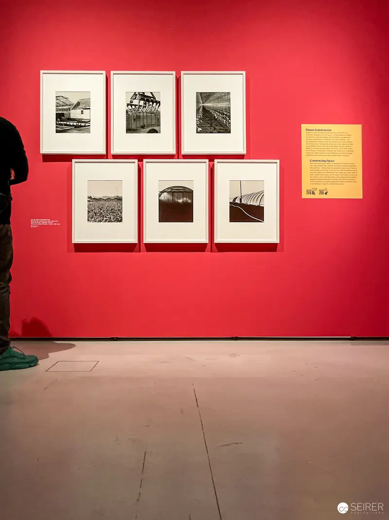 Exhibition View of Elfriede Mejchar Photography at MUSA Vienna