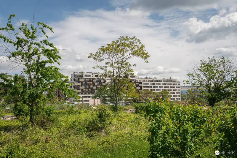 Modern Residential Development Surrounded by Overgrown Natural Landscape