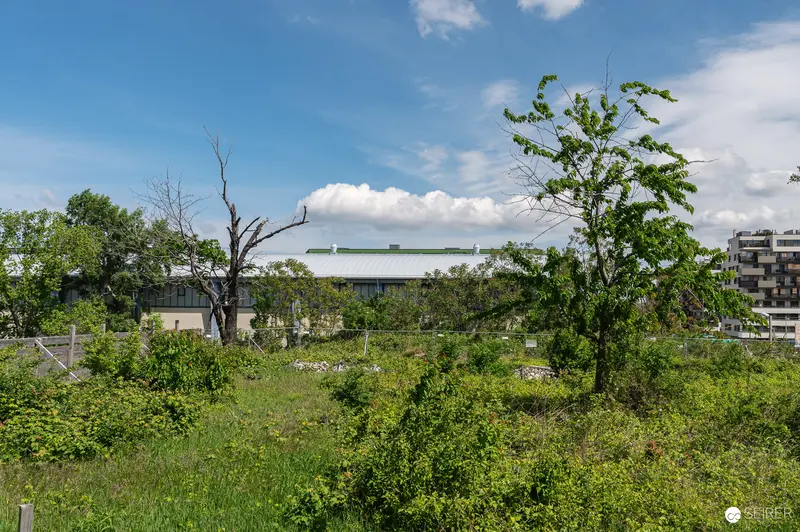 Overgrown Construction Site with Modern Building and Urban Development