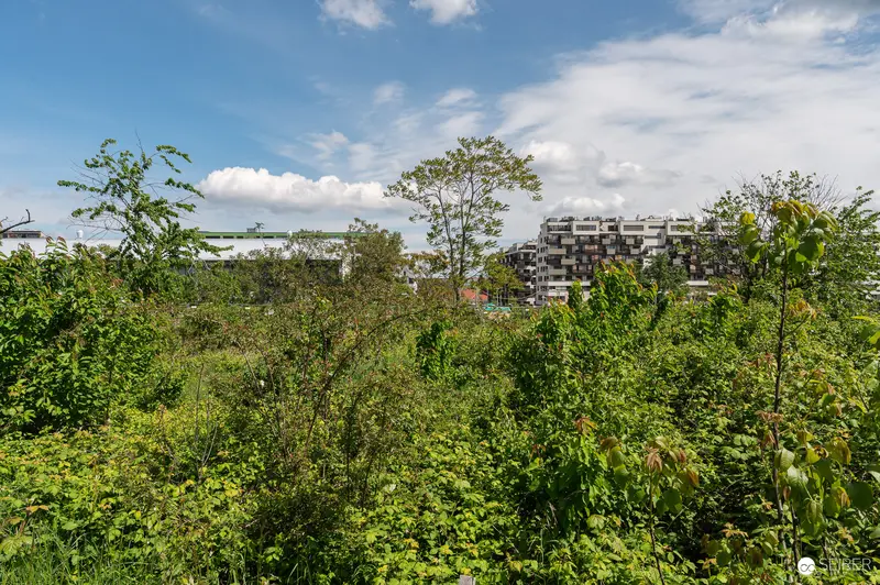 Urban Development Construction Site with Surrounding Green Buffer Zone
