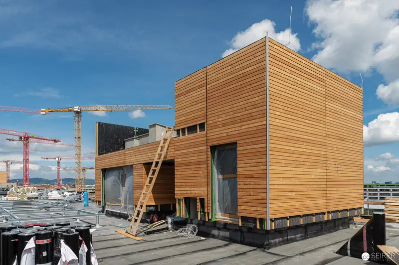 Modern Wooden Cube Structure at Active Construction Site with Red Cranes