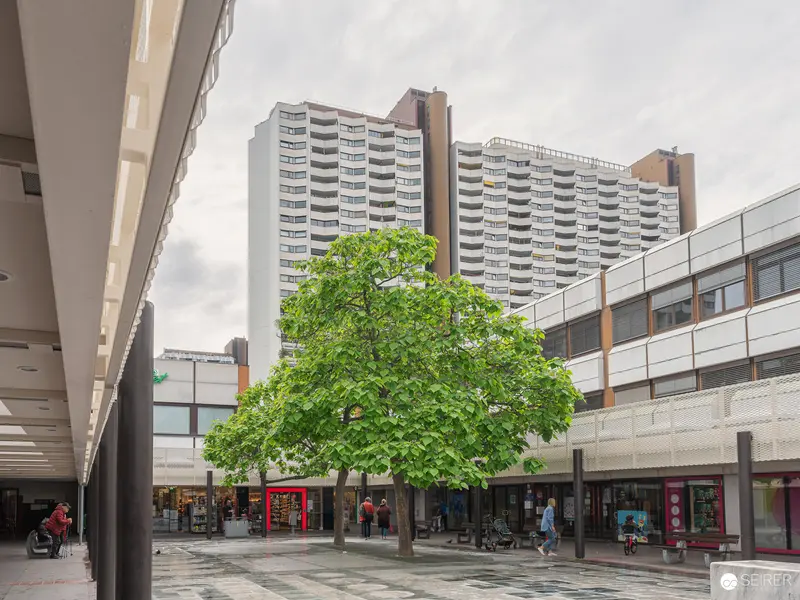 Green Tree in Urban Plaza with High-Rise Residential Complex in Background